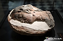VBS_4165 - Mostra Il Rinascimento in Piemonte - Castello della Rovere - Vinovo 
